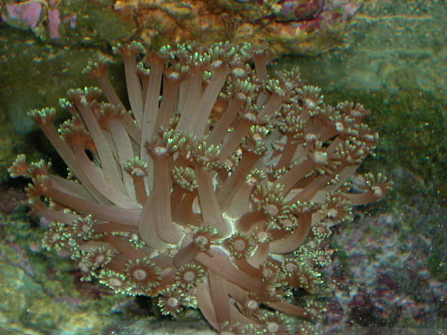 Saltwater Photos