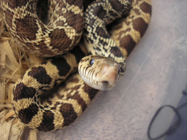 Hunert saying hello