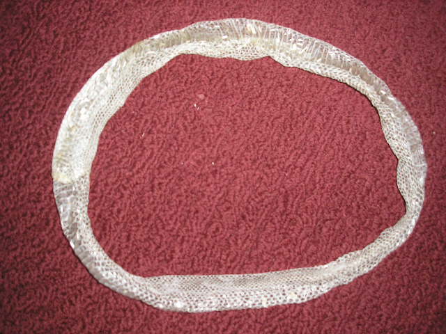 shed ring