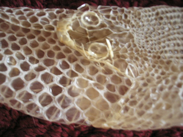 s ring 2