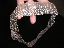 s ring 3