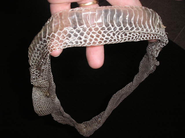 s ring 3