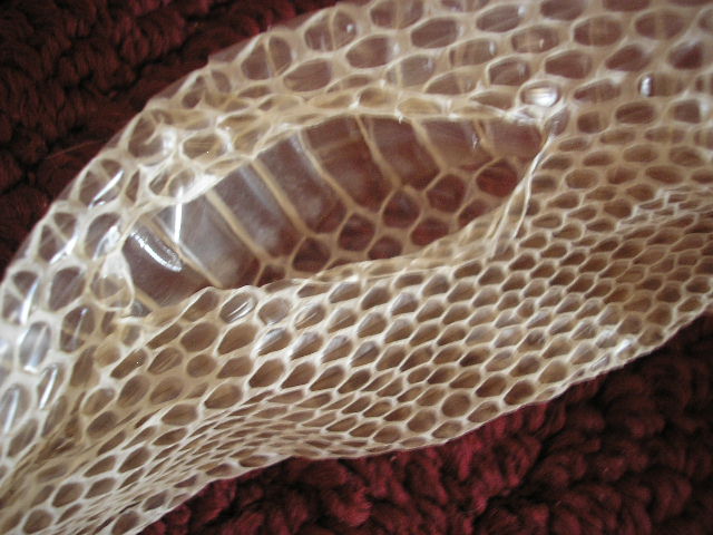 s ring hole