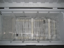 100qt Incubator