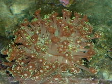Saltwater Photos