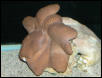 Saltwater Photos