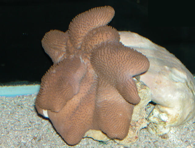 Saltwater Photos