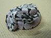 TSKinc. Axanthic Spider #2