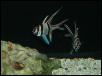 Saltwater Photos