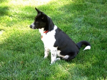 Murphy