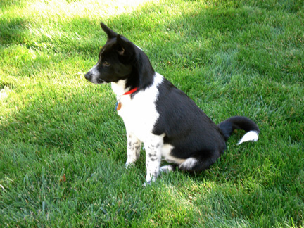 Murphy