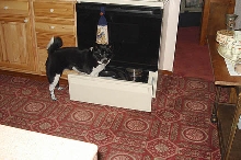 In stove drawer