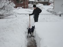 Shoveling out