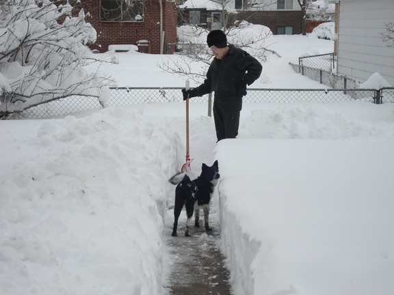 Shoveling out
