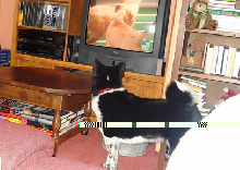 Watching TV
