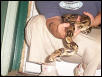 columbian boa