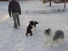 Gamble, Hank, and China
