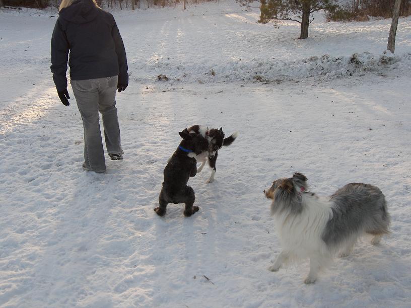 Gamble, Hank, and China