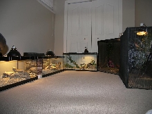 tanksetupnewhouse