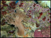 Saltwater Photos