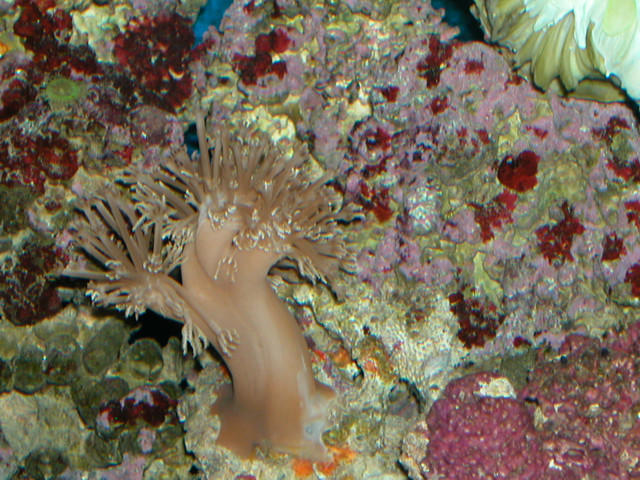 Saltwater Photos