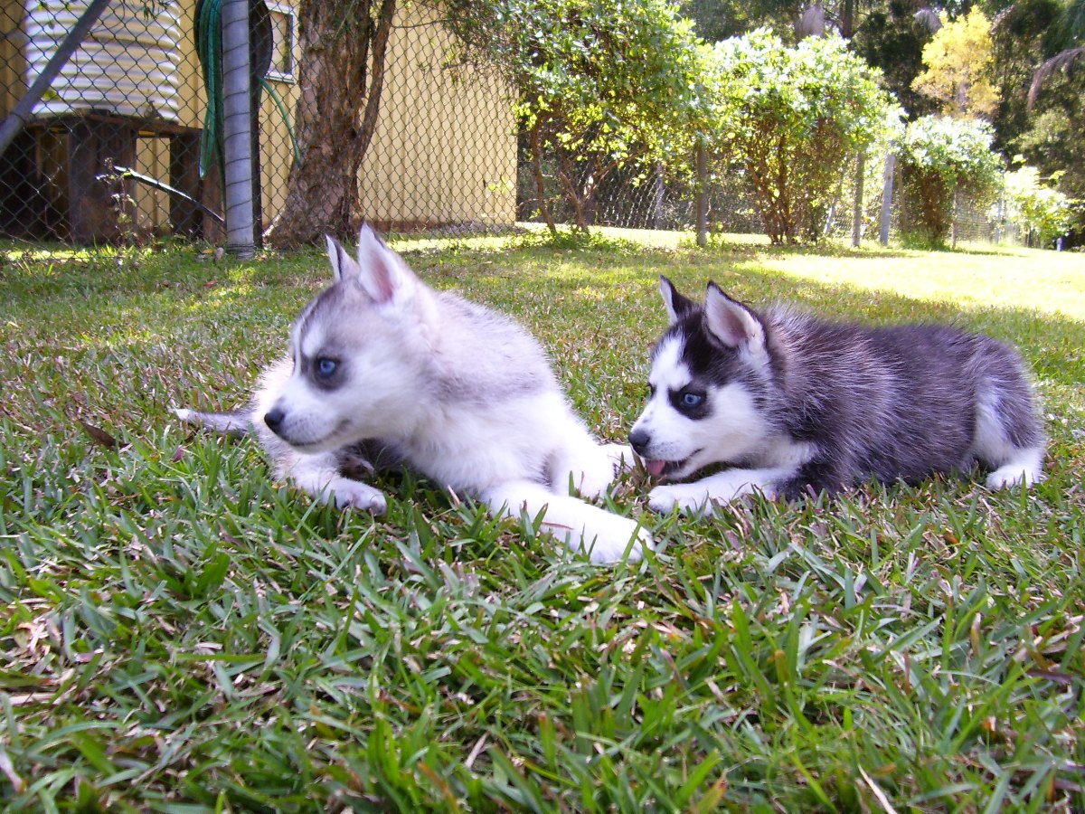 Tehya and Xander