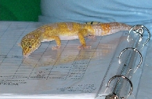 checking my stats