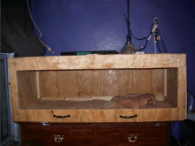 Zabaa's New Cage