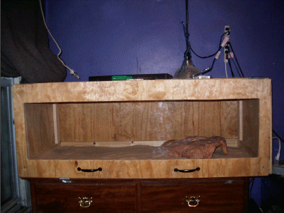 Zabaa's New Cage