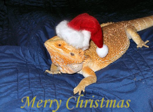 Santa Zabaa