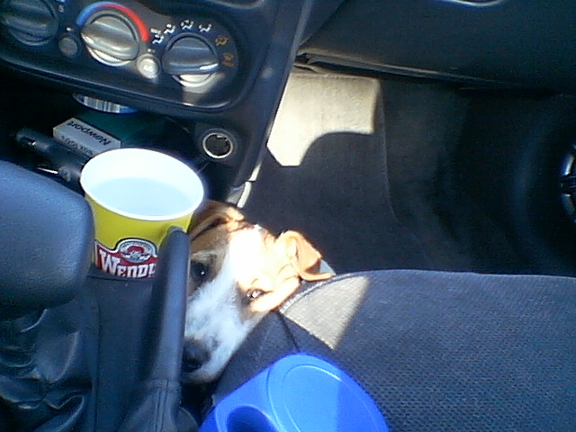 car ride