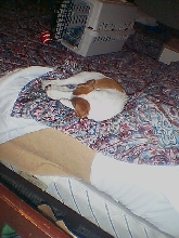 sleepy