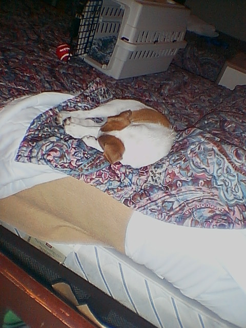 sleepy