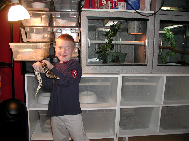 Joe's Snake