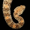 snakie 9