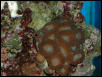 Saltwater Photos