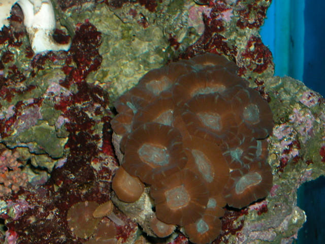 Saltwater Photos