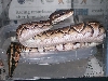 BPcinny