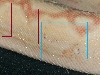 side