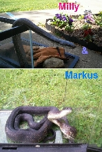 Milly & Markus