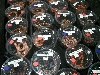 milksnakes