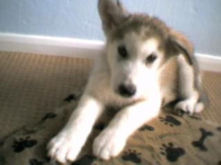 Mya Again