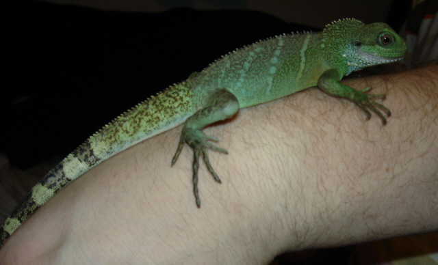 This Is Sizzle