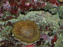 Saltwater Photos