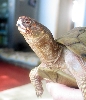 New Girls' Face (just woke up)