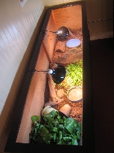 My Indoor Box Turtle Enclosure