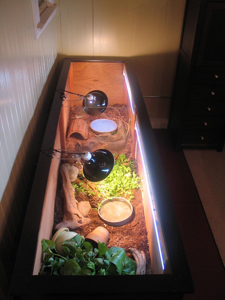 My Indoor Box Turtle Enclosure