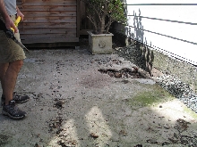 Before - New Enclosure