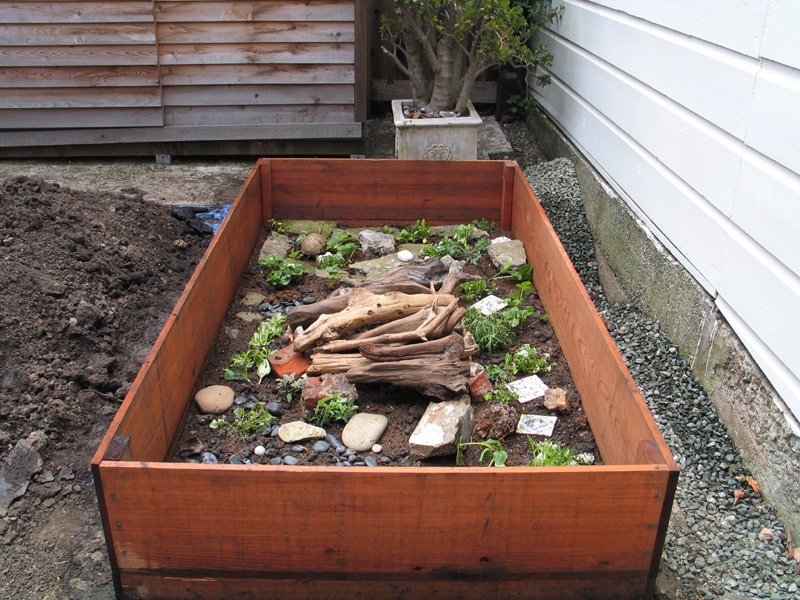 After - New Enclosure, day 1: planted, without lid