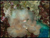 Saltwater Photos